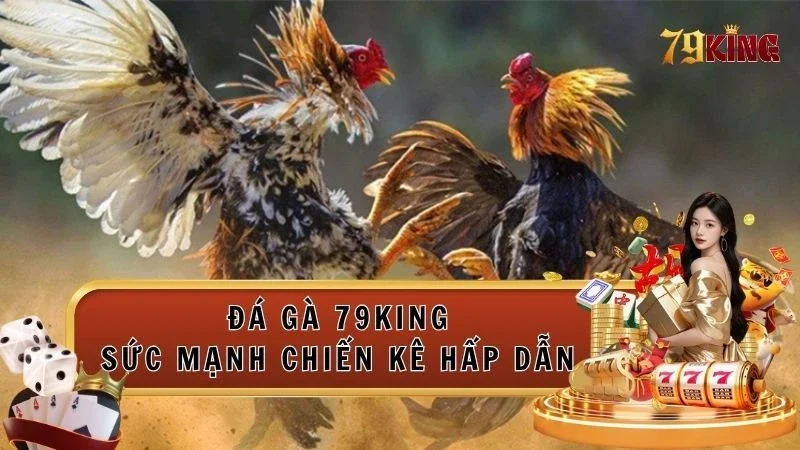 Tham gia sảnh Đá gà 79king cực kỳ hấp dẫn
