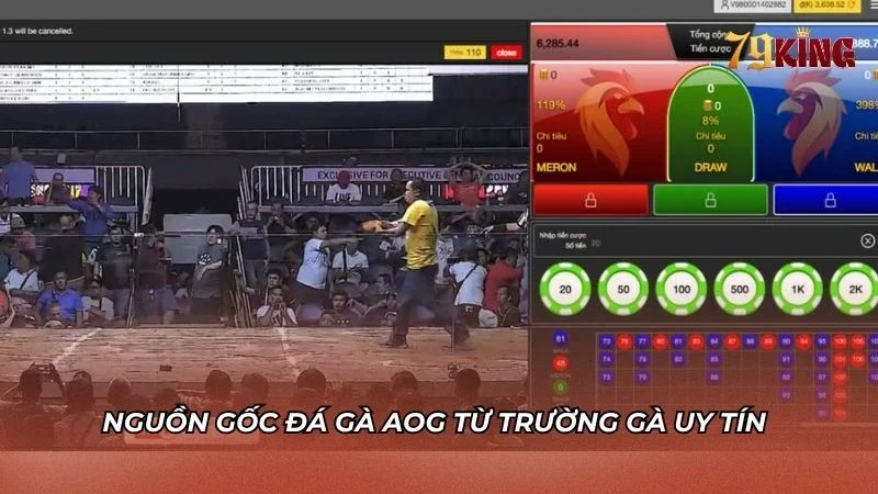 Sảnh Đá gà AOG của 79king có nguồn gốc uy tín